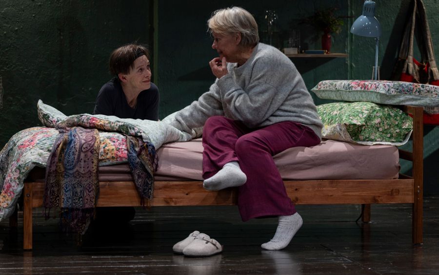 ‘The Spare Room: Helen Garner’s address to the messy chaos of existence’ by Ian Dickson