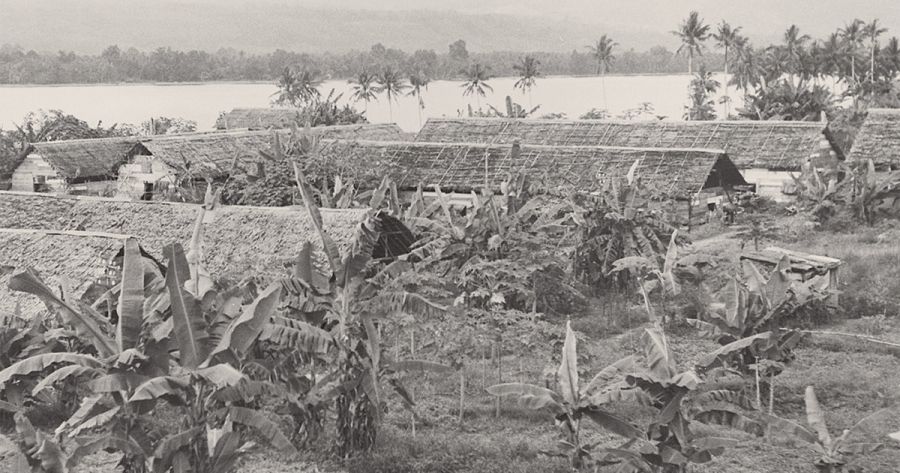 Michael McKernan reviews ‘Gull Force: Australian POWs on Ambon and Hainan, 1941-45’ by Joan Beaumont