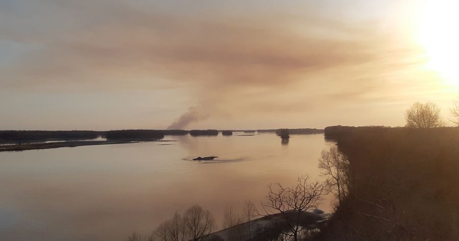 Child Adjacent, by Bridget Vincent