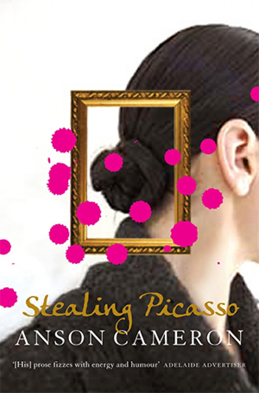 Tim Howard reviews Stealing Picasso by Anson Cameron