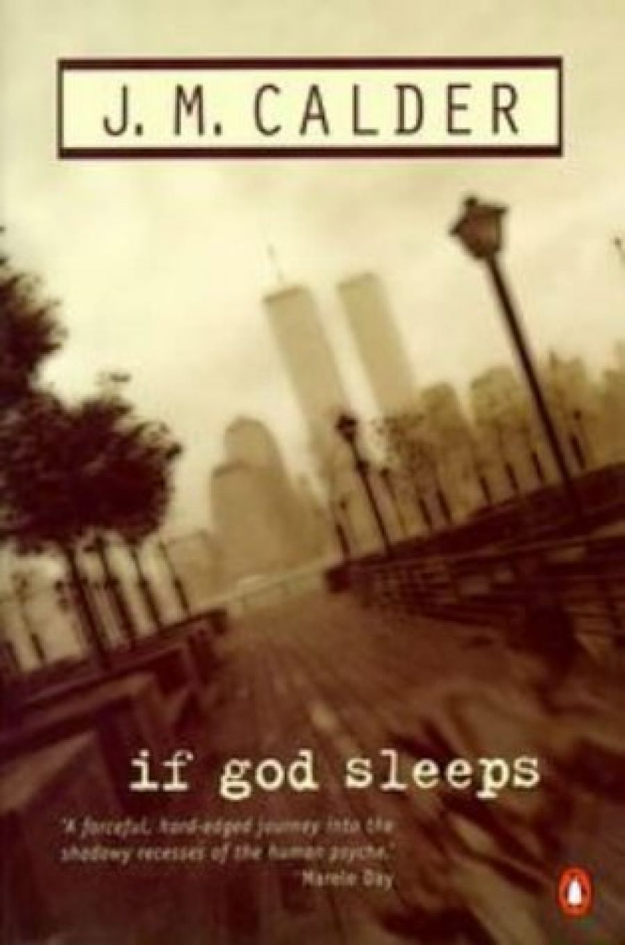 Katherine England reviews If God Sleeps by J.M. Calder