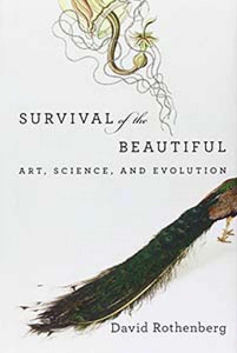 Ian Gibbins reviews Survival of the Beautiful: Art, science, and evolution by David Rothenberg