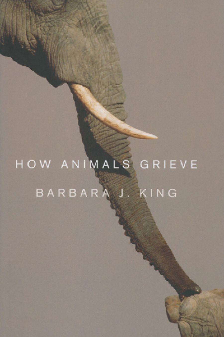 Rebecca Giggs reviews How Animals Grieve by Barbara J. King