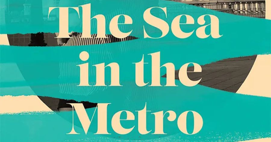 Kirsten Krauth reviews ‘The Sea in the Metro’ by Jayne Tuttle