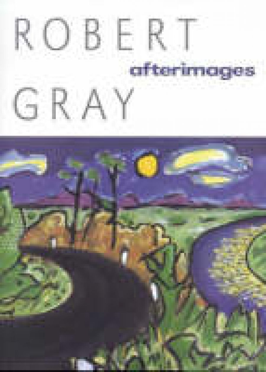 Martin Duwell reviews Afterimages by Robert Gray