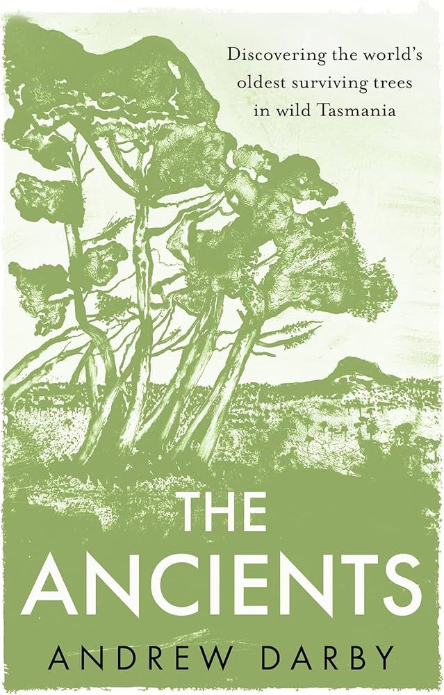 The Ancients: Discovering the world’s oldest surviving trees in wild Tasmania