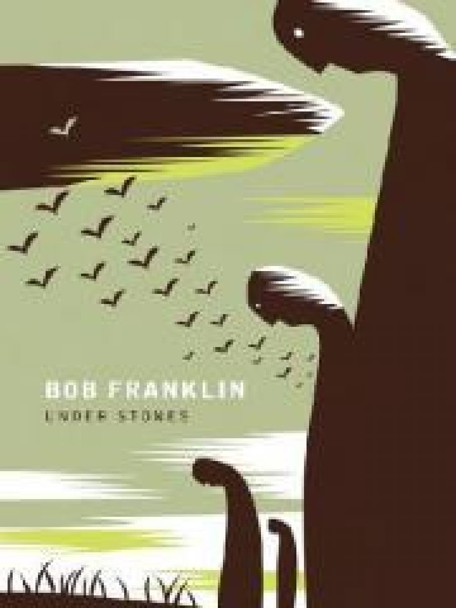 Christine Piper reviews Under Stones by Bob Franklin