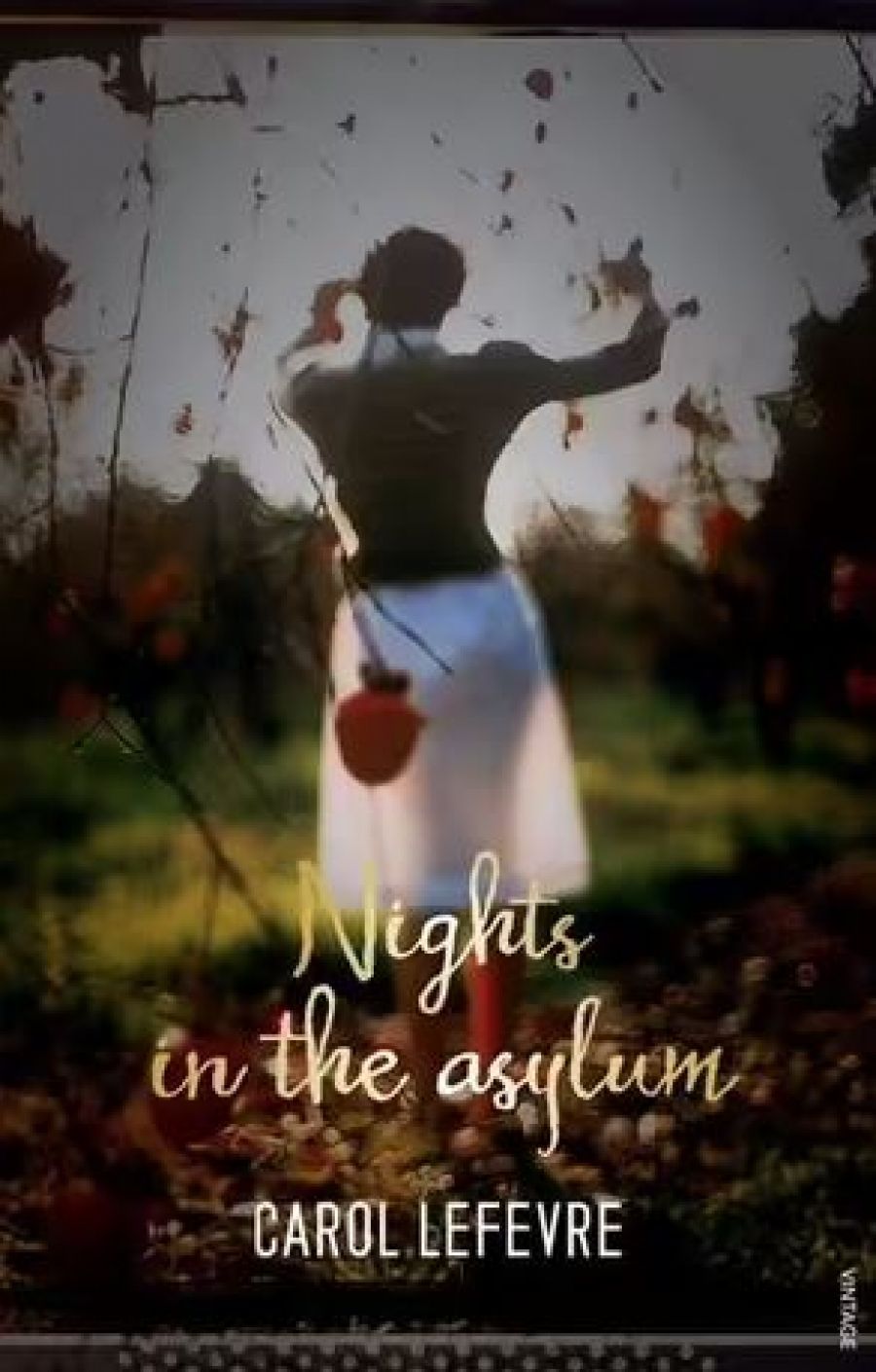 Owen Richardson reviews Eugenes Falls by Amanda Johnson and Nights in the Asylum by Carol Lefevre