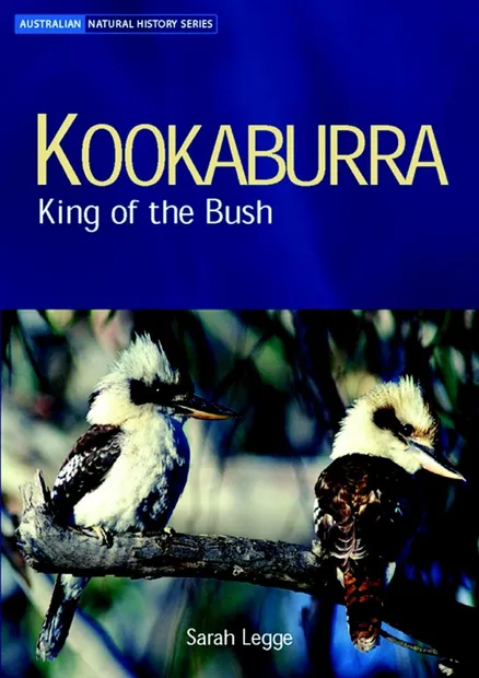 Kookaburra