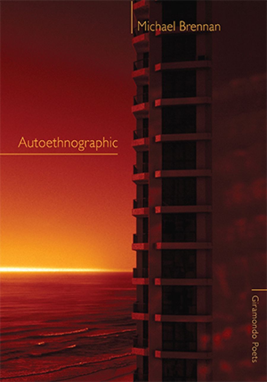 Peter Kenneally reviews Autoethnographic by Michael Brennan
