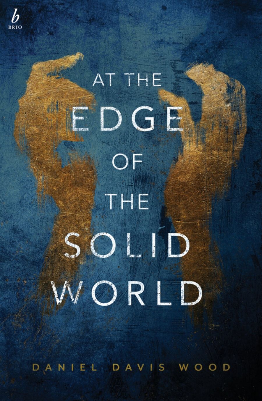 Naama Grey-Smith reviews At the Edge of the Solid World by Daniel Davis Wood
