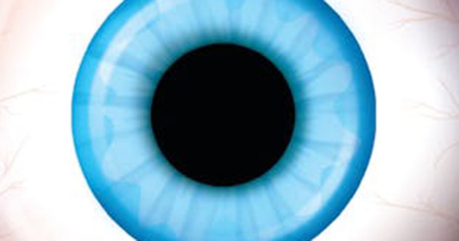 Eleanor Spencer-Regan reviews ‘The Eyes Are the Best Part’ by Monika Kim and ‘Thirst’ by Marina Yuszczuk