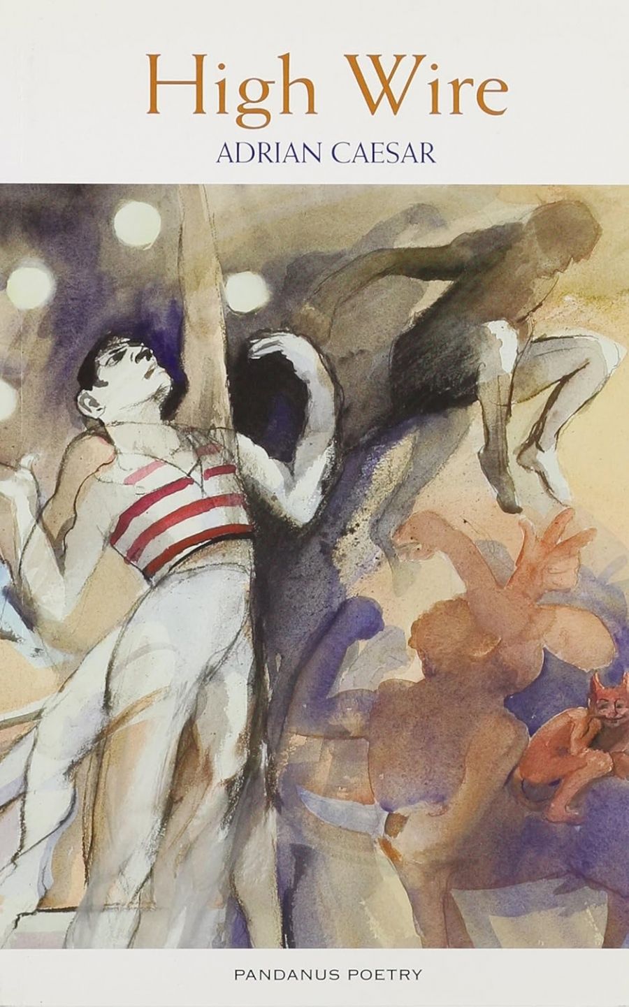 David McCooey reviews High Wire by Adrian Caesar