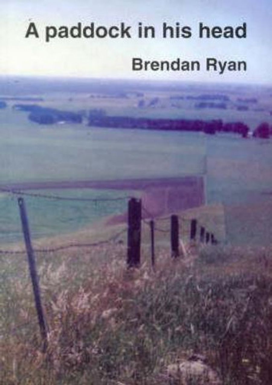 Geoff Page reviews A Paddock in His Head by Brendan Ryan