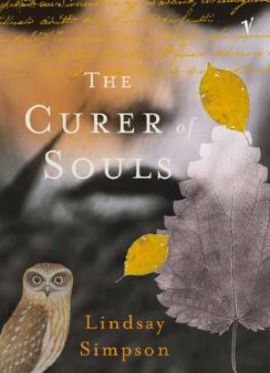 Lorien Kaye reviews The Curer of Souls by Lindsay Simpson