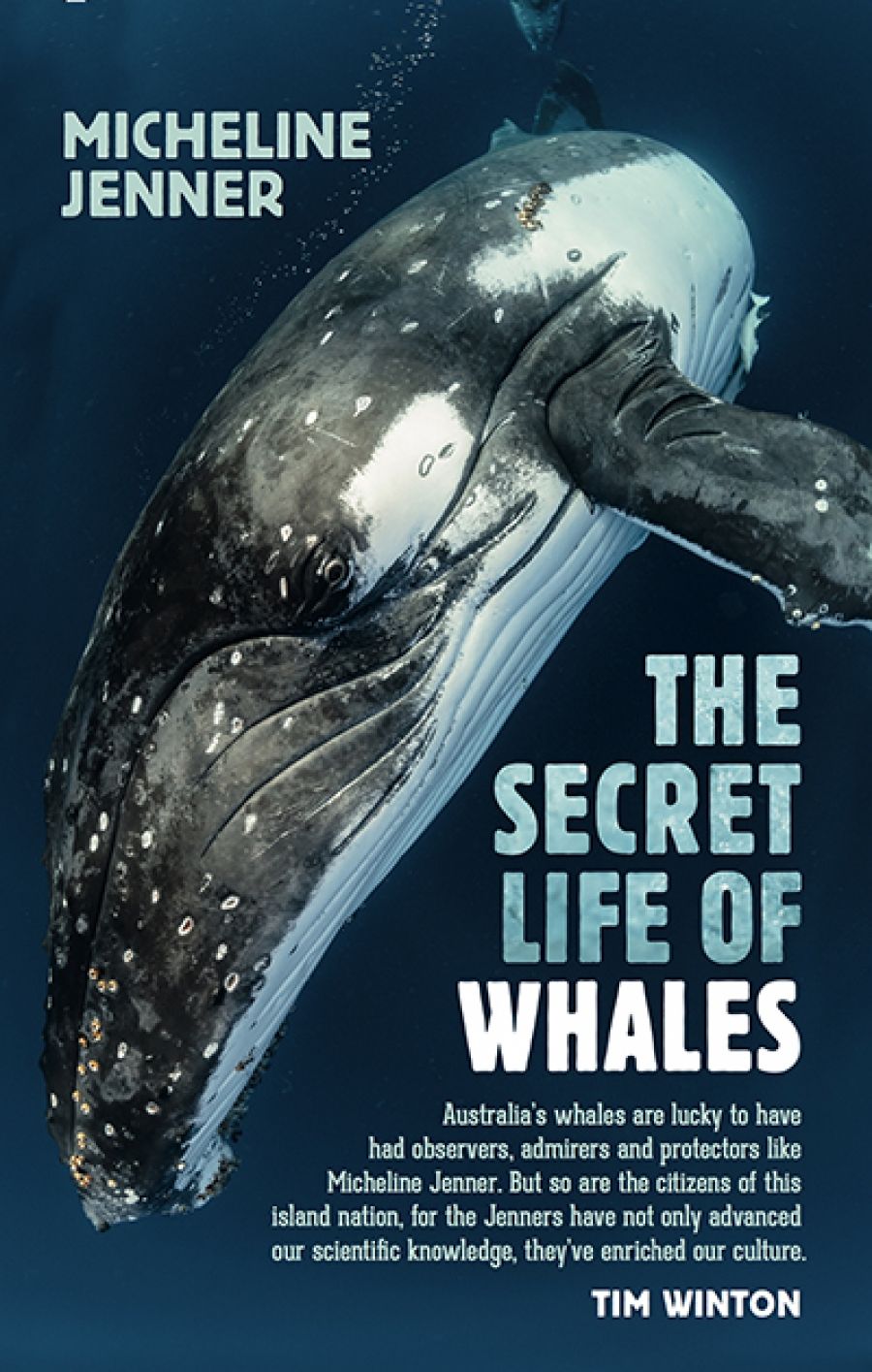 Rachael Mead reviews The Secret Life of Whales: A marine biologist’s revelations by Micheline Jenner
