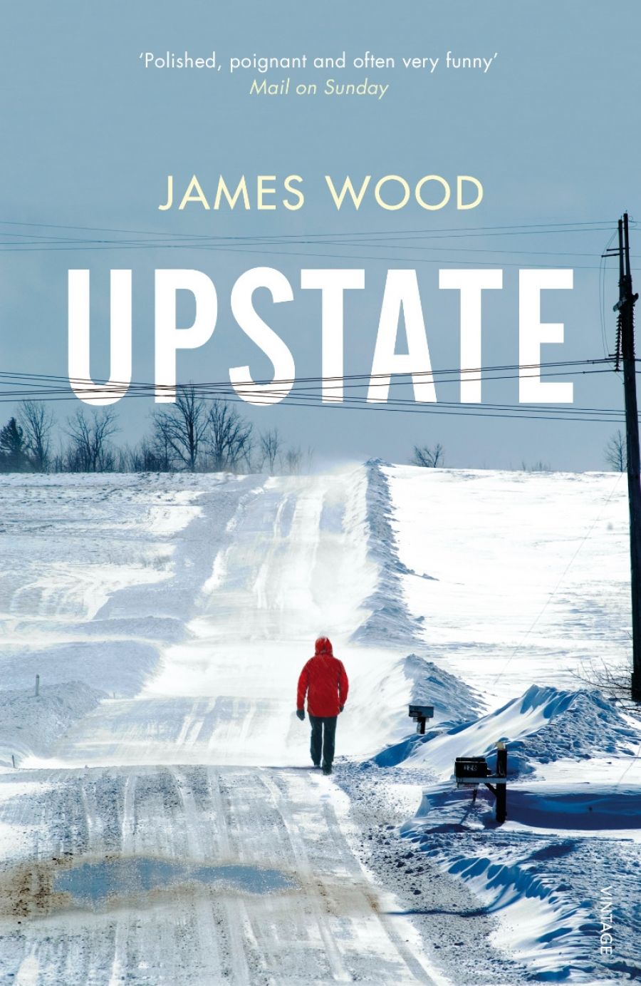 Brenda Niall reviews Upstate by James Wood