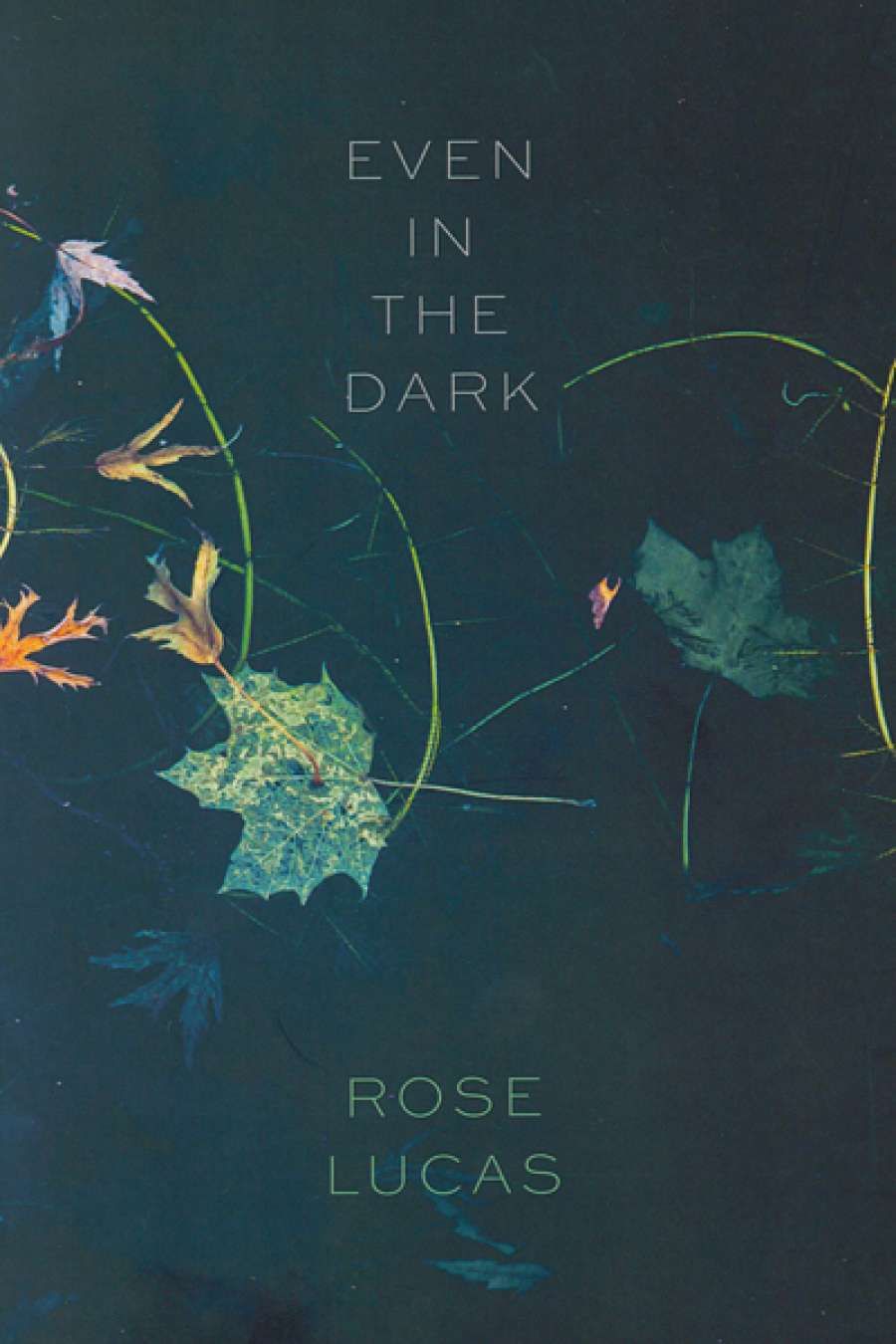 Cassandra Atherton reviews Even in the Dark by Rose Lucas