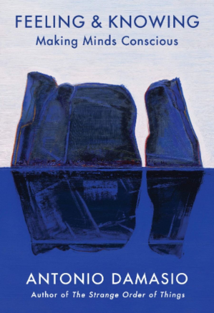 Diane Stubbings reviews Feeling and Knowing: Making minds conscious by Antonio Damasio