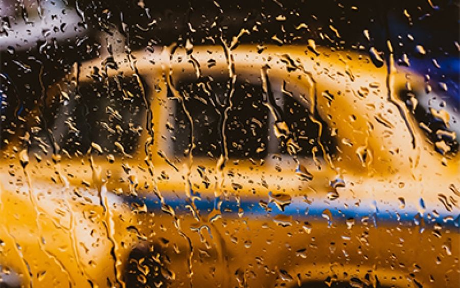Every taxi driver in this city asks Do you have children?, a poem by Joan Fleming