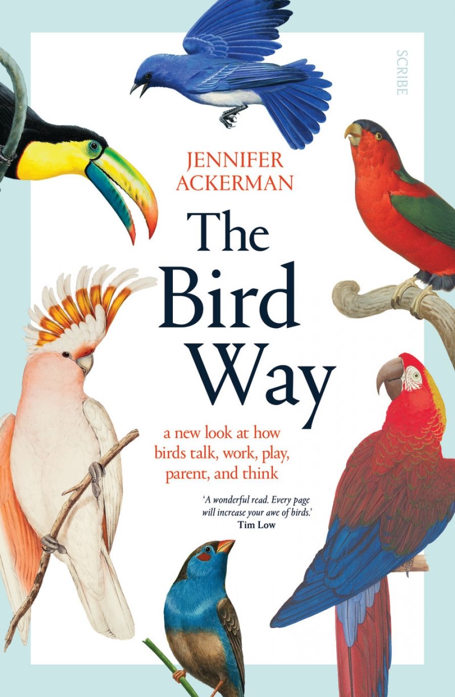 Simon Caterson reviews The Bird Way: A new look at how birds talk, work, play, parent, and think by Jennifer Ackerman