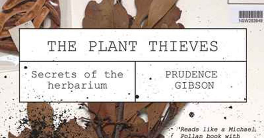 Danielle Clode reviews The Plant Thieves: Secrets of the Herbarium by Prudence Gibson