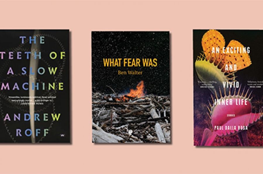 Anthony Lynch reviews The Teeth of a Slow Machine by Andrew Roff, What Fear Was by Ben Walter, and An Exciting and Vivid Inner Life by Paul Dalla Rosa
