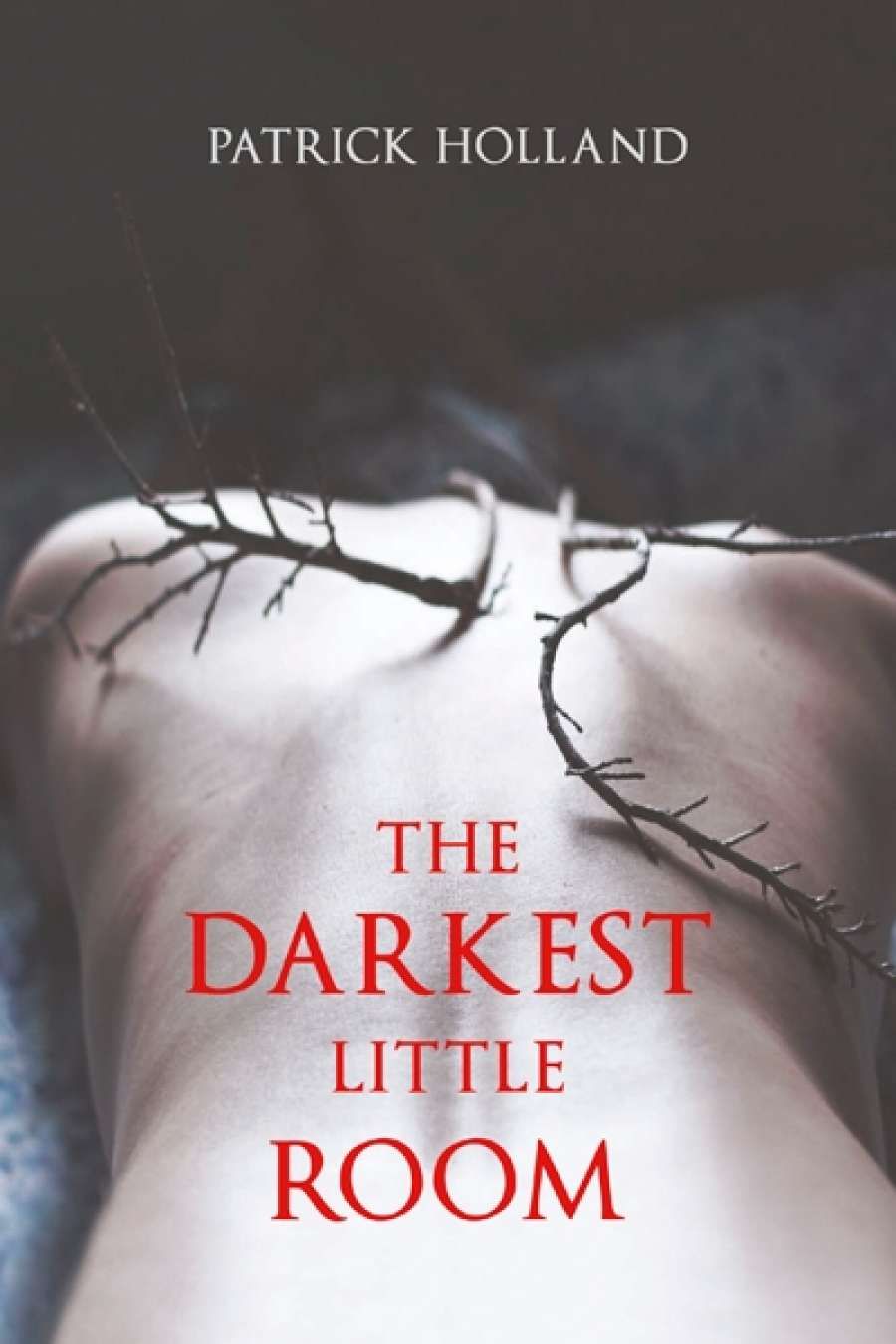 Jay Daniel Thompson reviews The Darkest Little Room by Patrick Holland