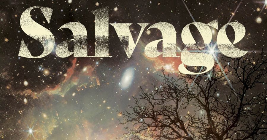 Jonathan Ricketson reviews ‘Salvage’ by Jennifer Mills