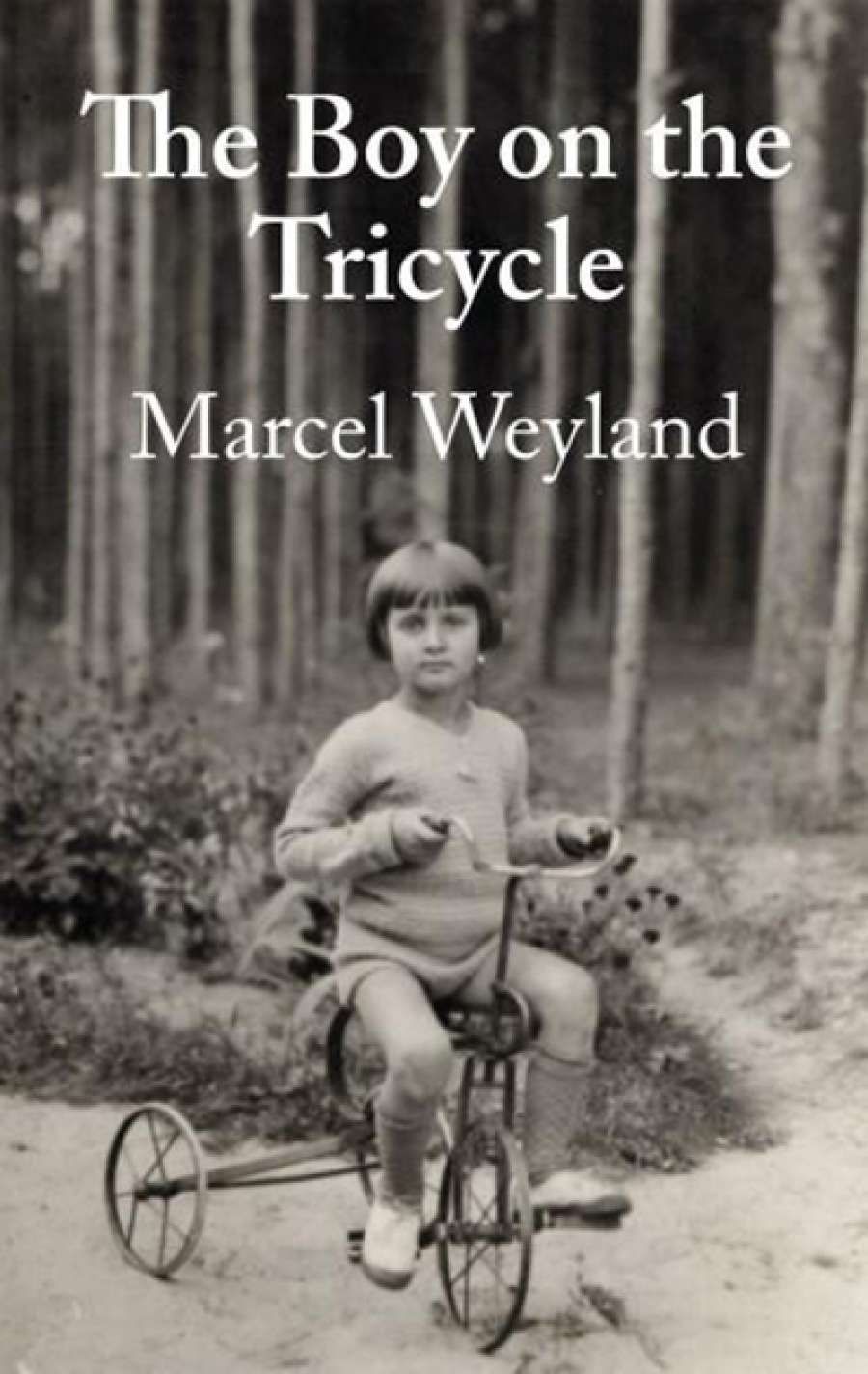 Gillian Dooley reviews The Boy on the Tricycle by Marcel Weyland and The May Beetles by Baba Schwartz