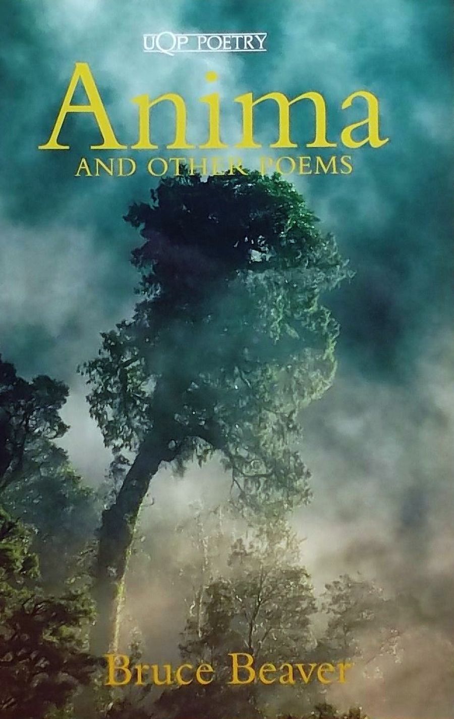 Simon Patton Anima and Other Poems by Bruce Beaver