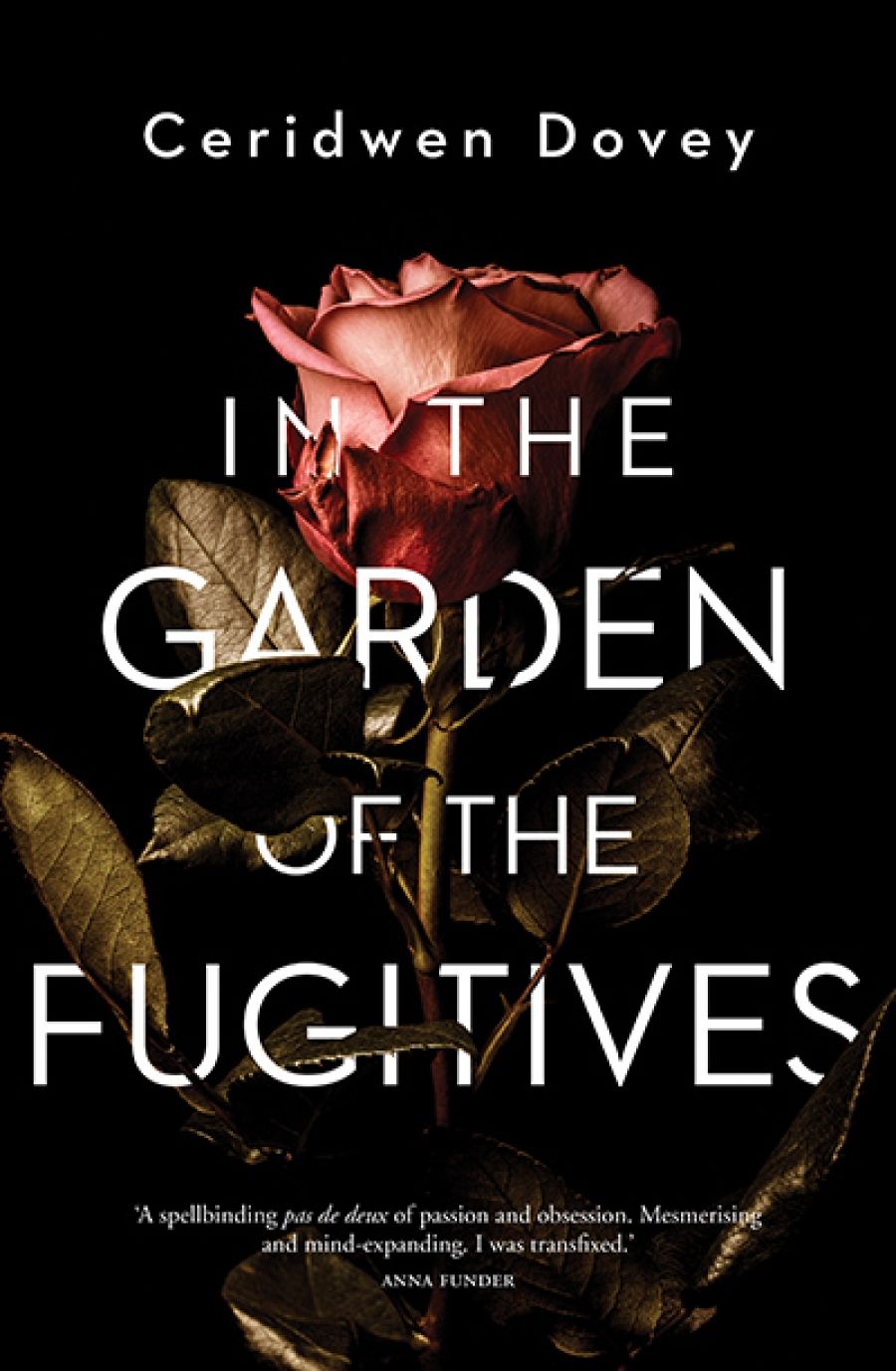Ashley Hay reviews In the Garden of the Fugitives by Ceridwen Dovey