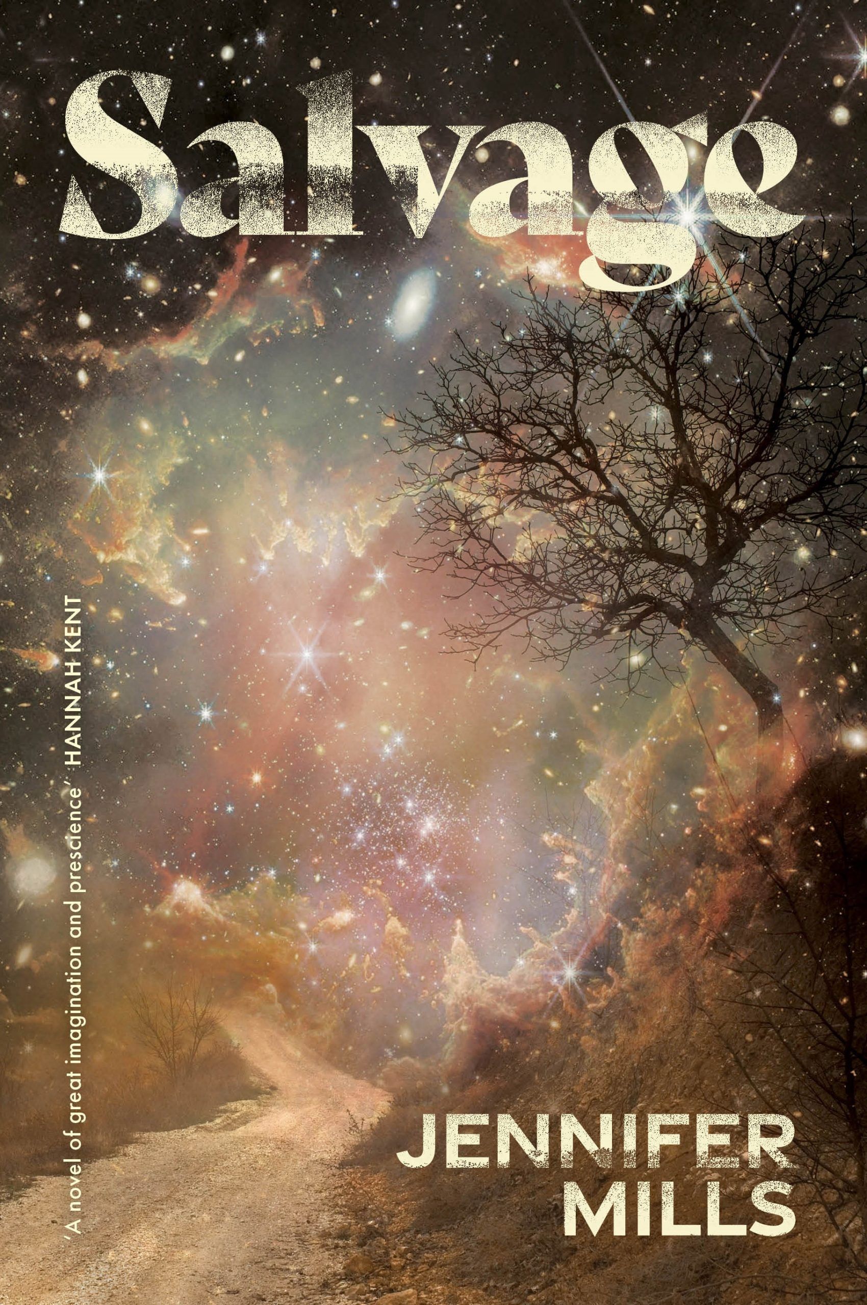 Jonathan Ricketson reviews ‘Salvage’ by Jennifer Mills