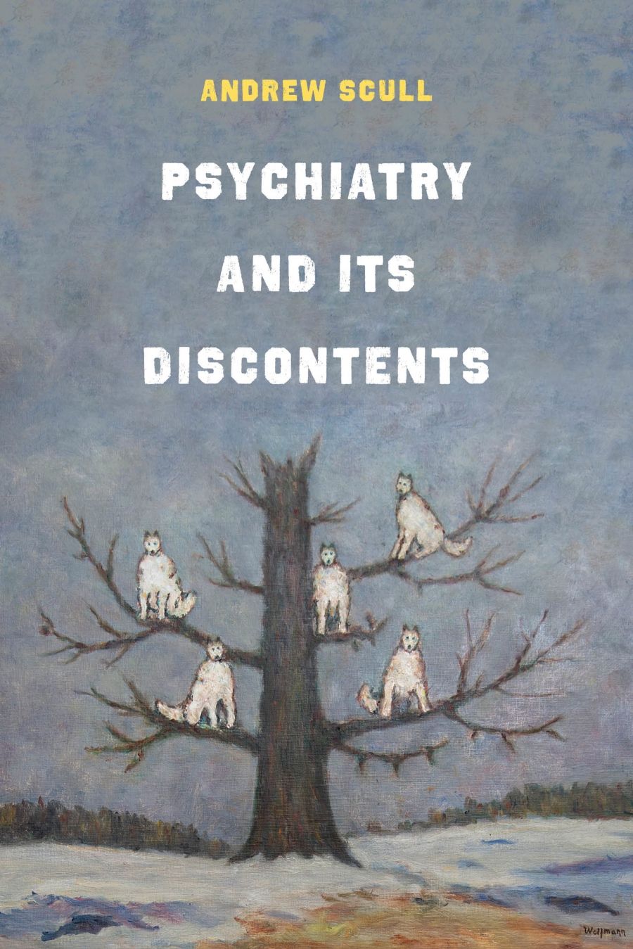 James Dunk reviews Psychiatry and its Discontents by Andrew Scull