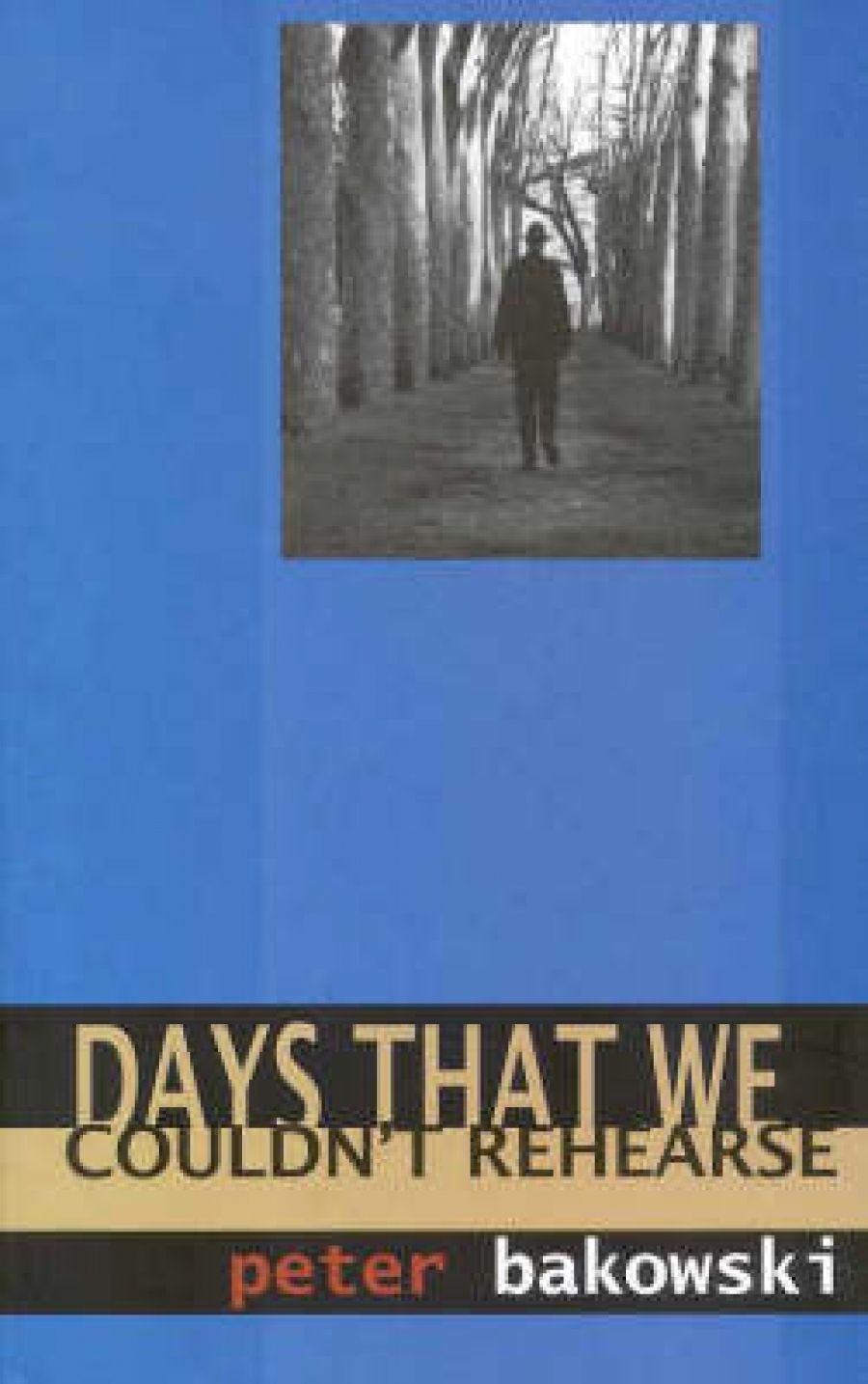 David Lumsden reviews ‘Days That We Couldn’t Rehearse’ by Peter Bakowski