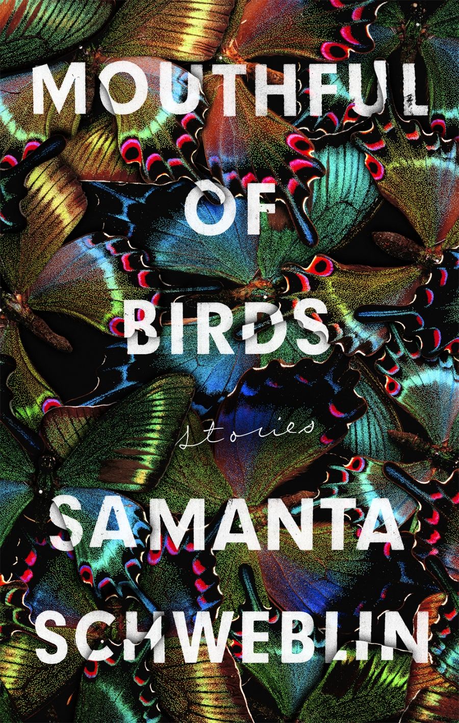 James Halford reviews Mouthful of Birds: Stories by Samanta Schweblin, translated by Megan McDowell