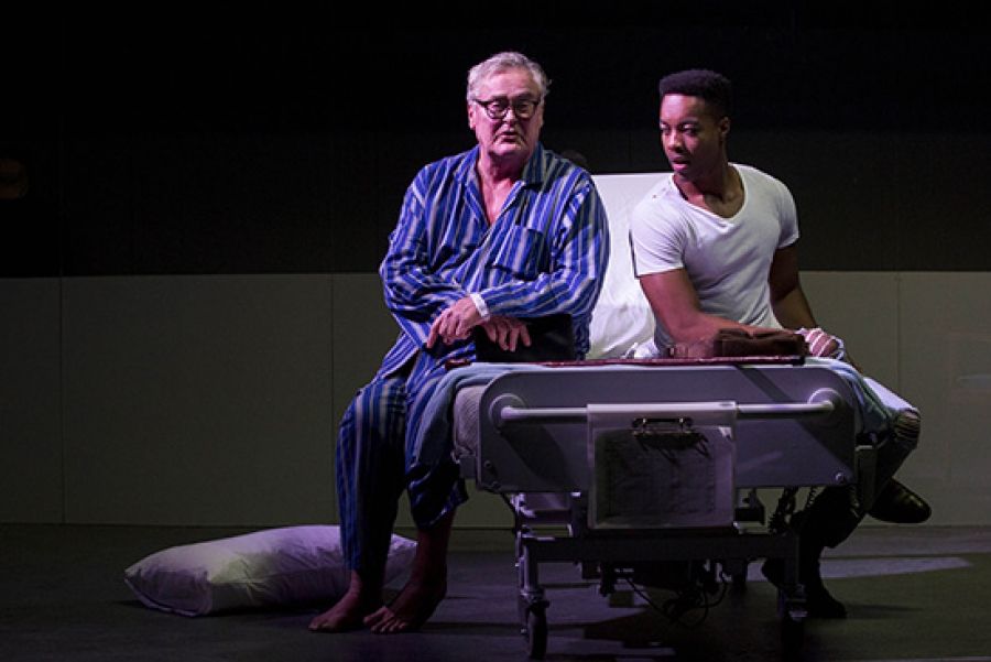 Mark Colvins Kidney (Belvoir St Theatre)