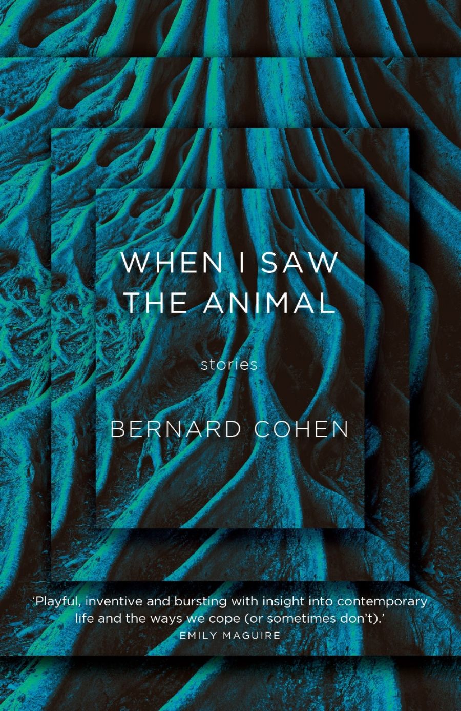 Anthony Lynch reviews When I Saw the Animal by Bernard Cohen