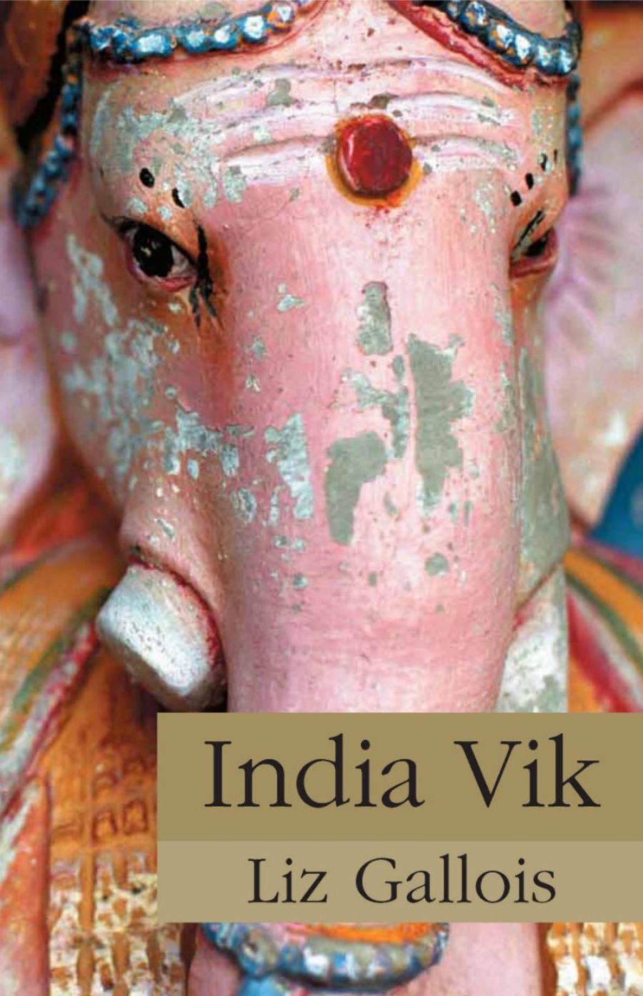 Kabita Dhara reviews India Vik by Liz Gallois