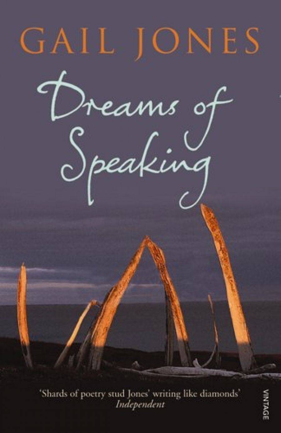 Kerryn Goldsworthy reviews Dreams of Speaking by Gail Jones
