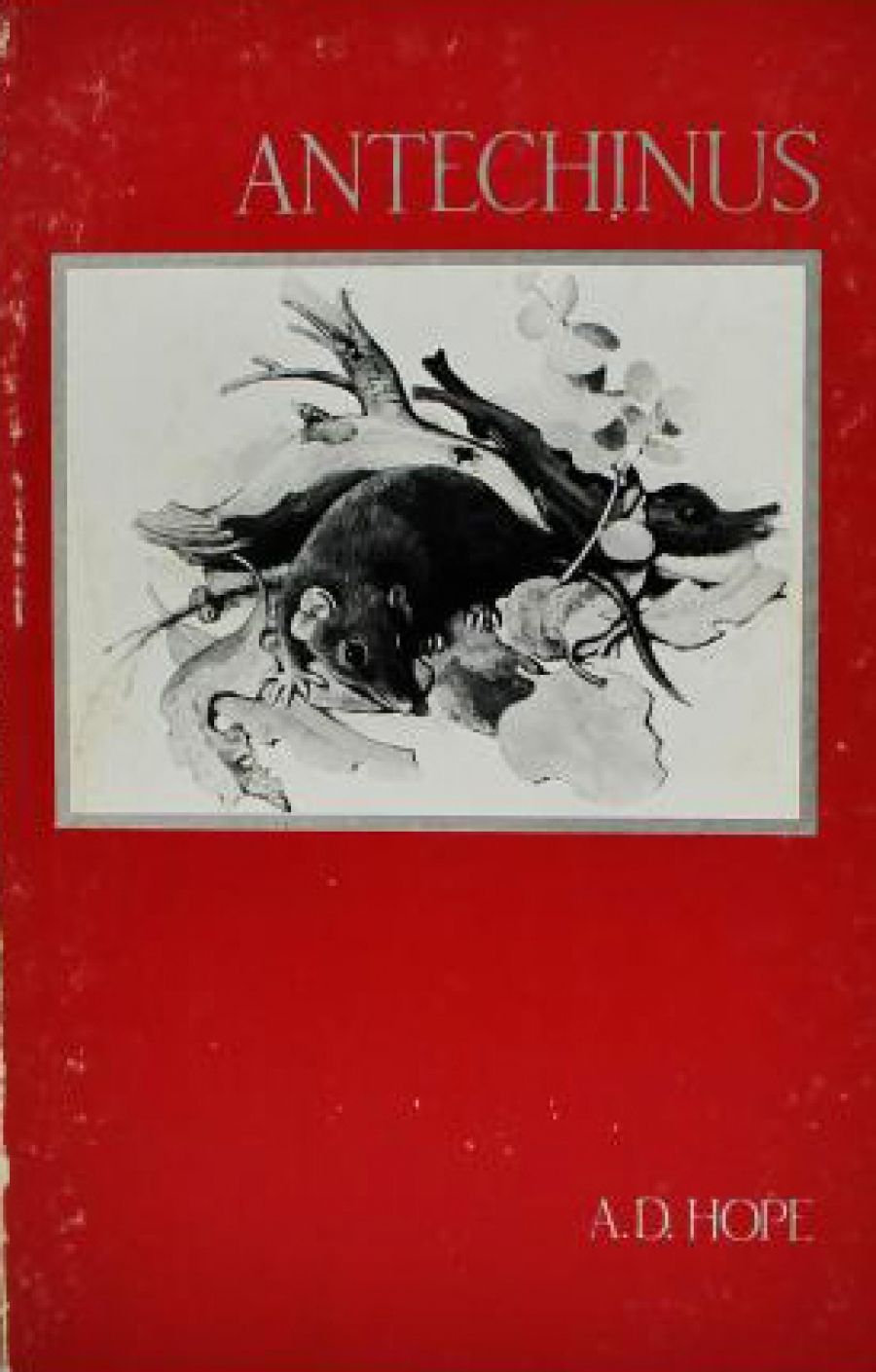 Evan Jones reviews Antechinus by A.D. Hope