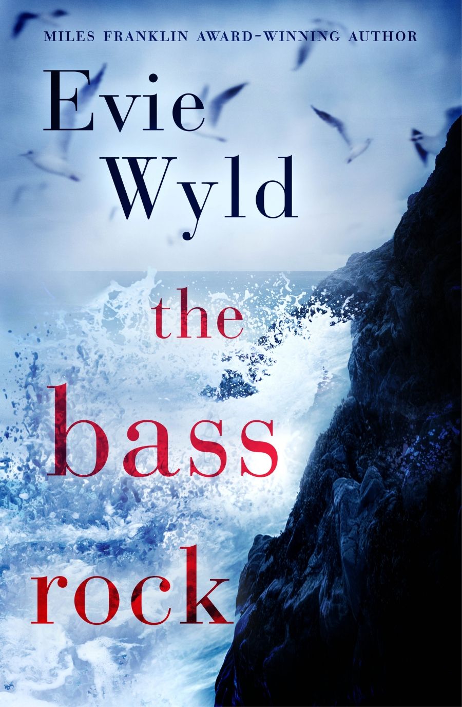 Amy Baillieu reviews The Bass Rock by Evie Wyld