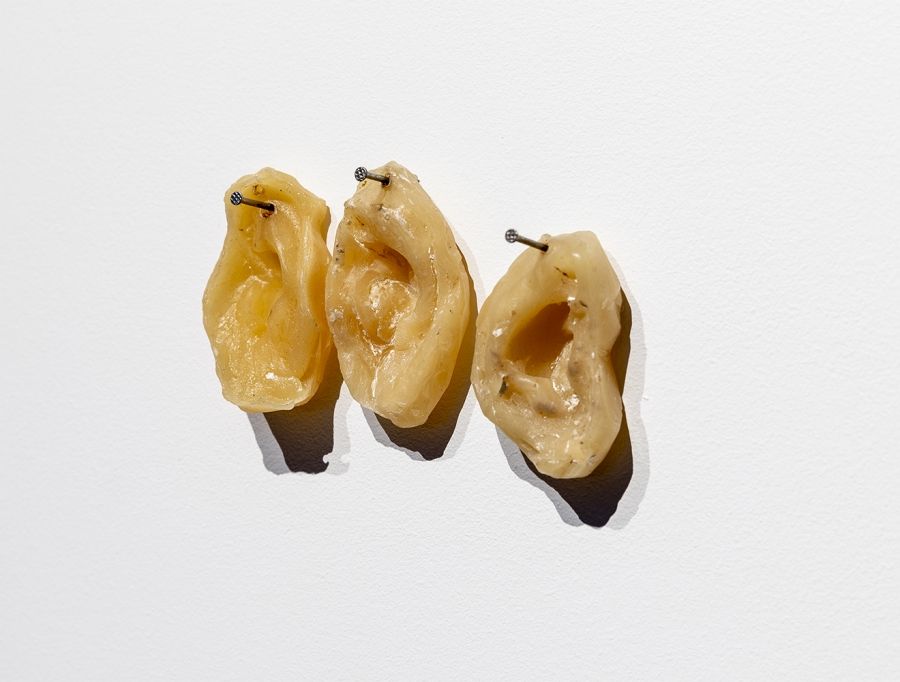 Looking Glass: Judy Watson and Yhonnie Scarce (TarraWarra Museum of Art)