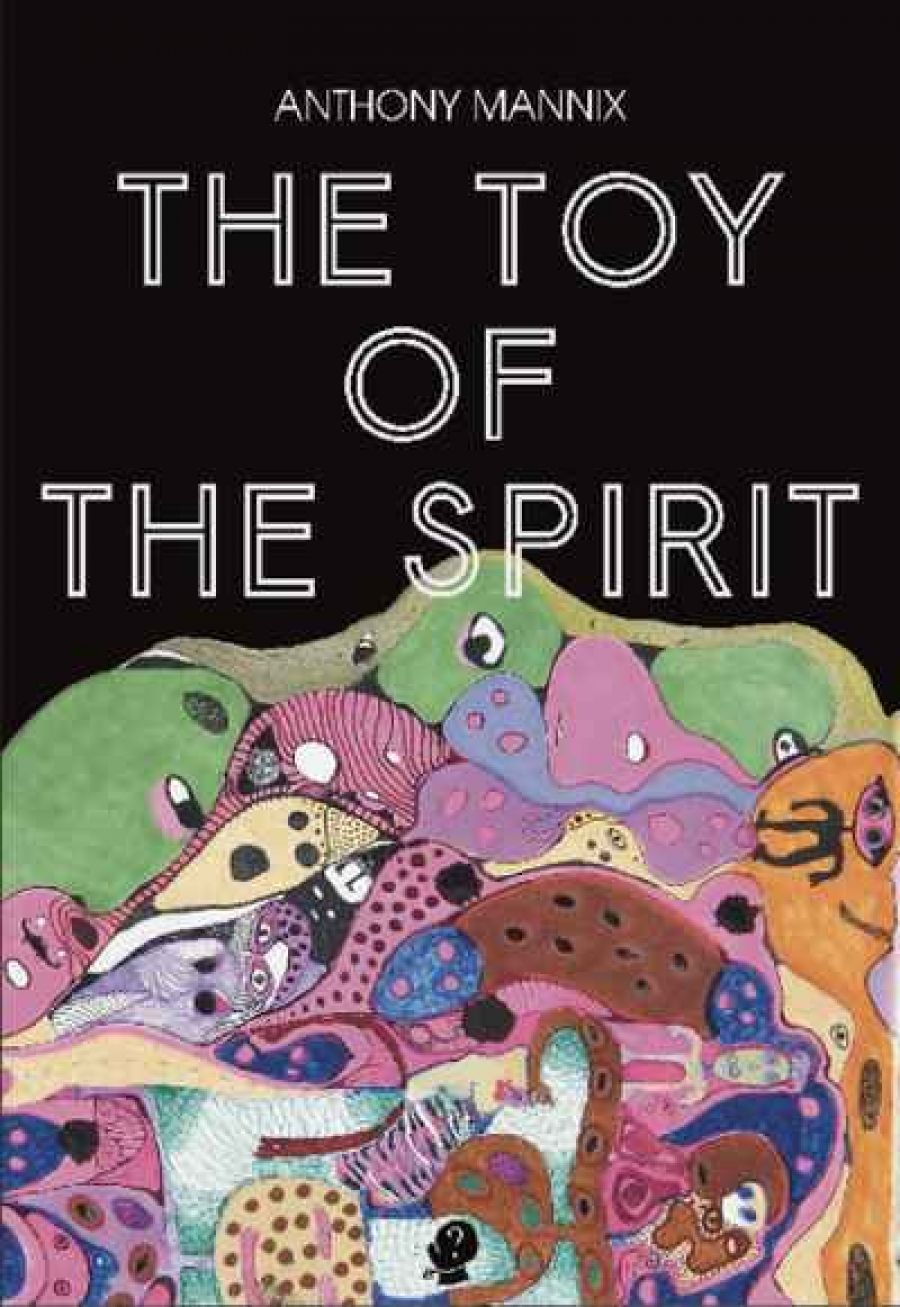 Barnaby Smith reviews The Toy of the Spirit by Anthony Mannix