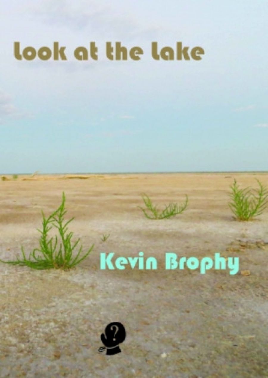 Joan Fleming reviews Look at the Lake by Kevin Brophy