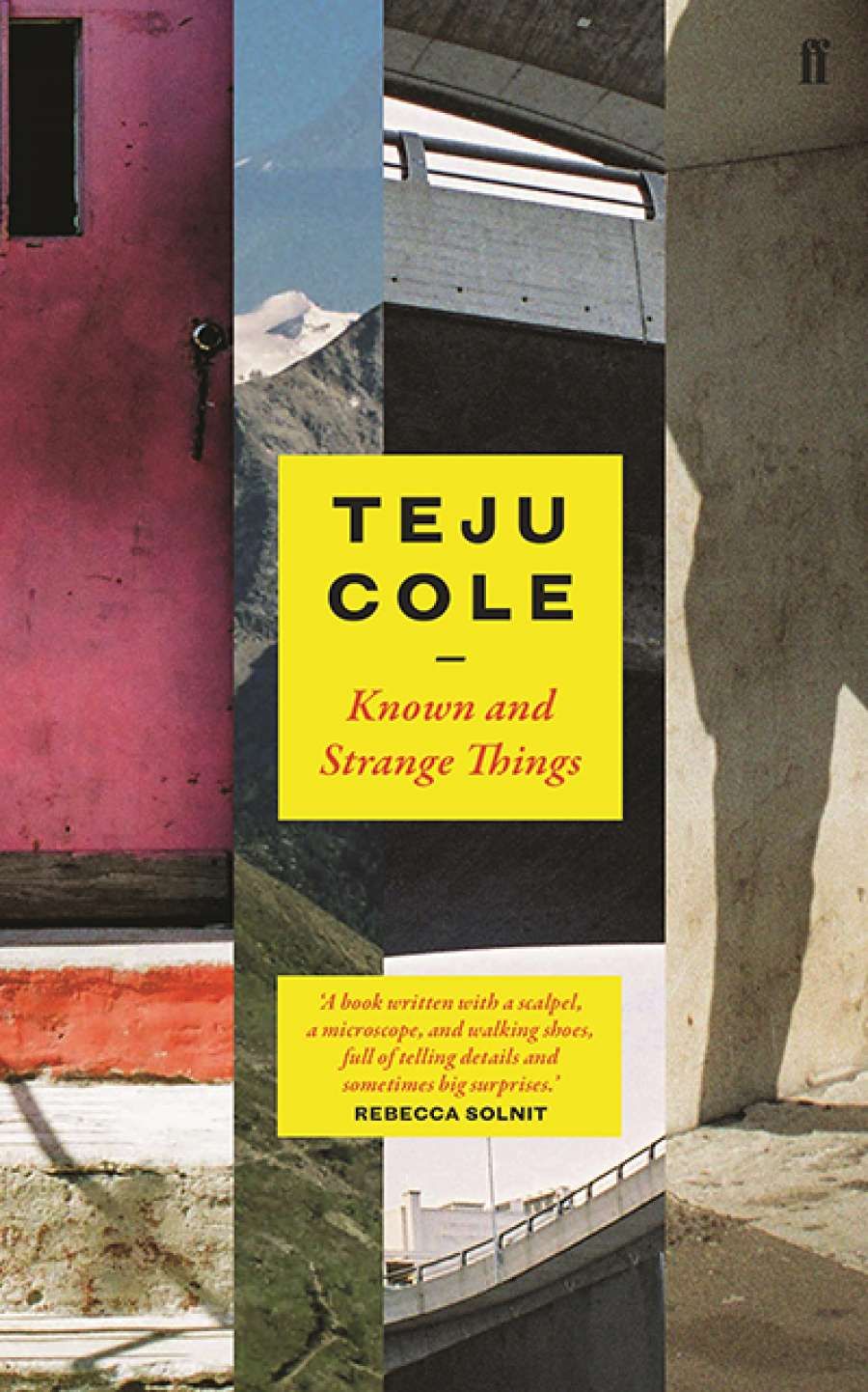 Sujatha Fernandes reviews Known and Strange Things by Teju Cole