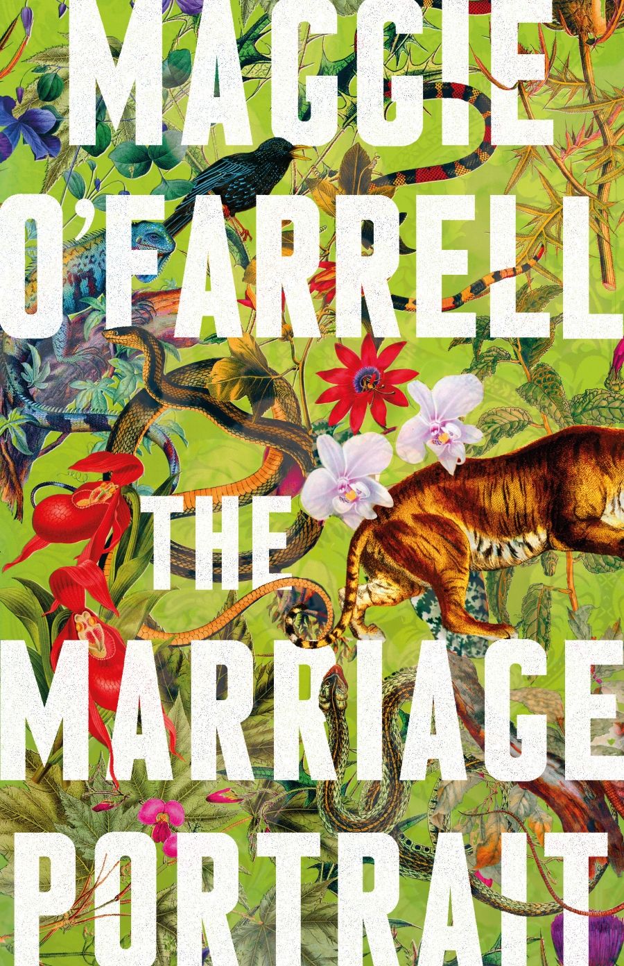 Amy Walters reviews The Marriage Portrait by Maggie O’Farrell