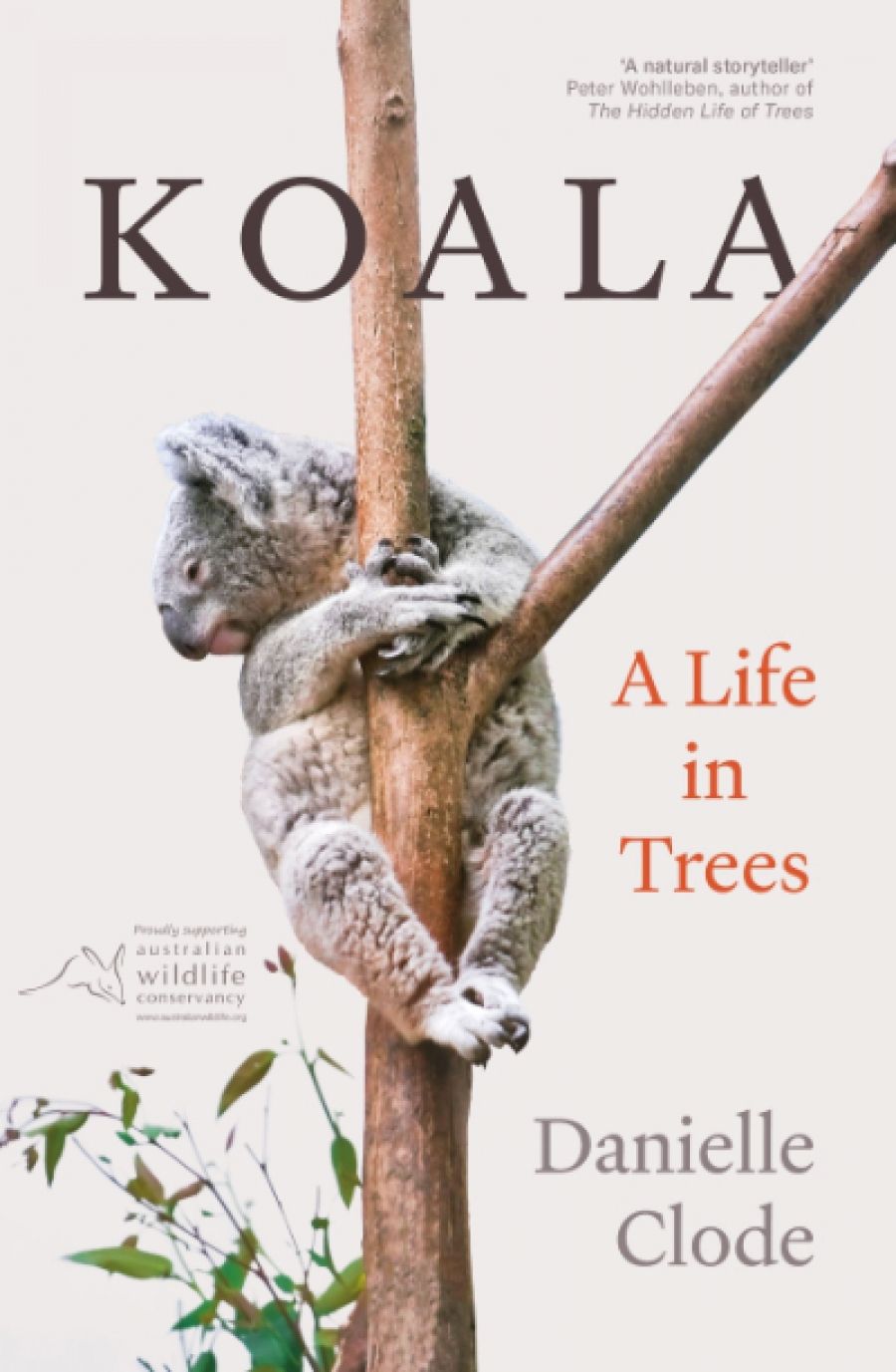 Peter Menkhorst reviews Koala: A life in trees by Danielle Clode
